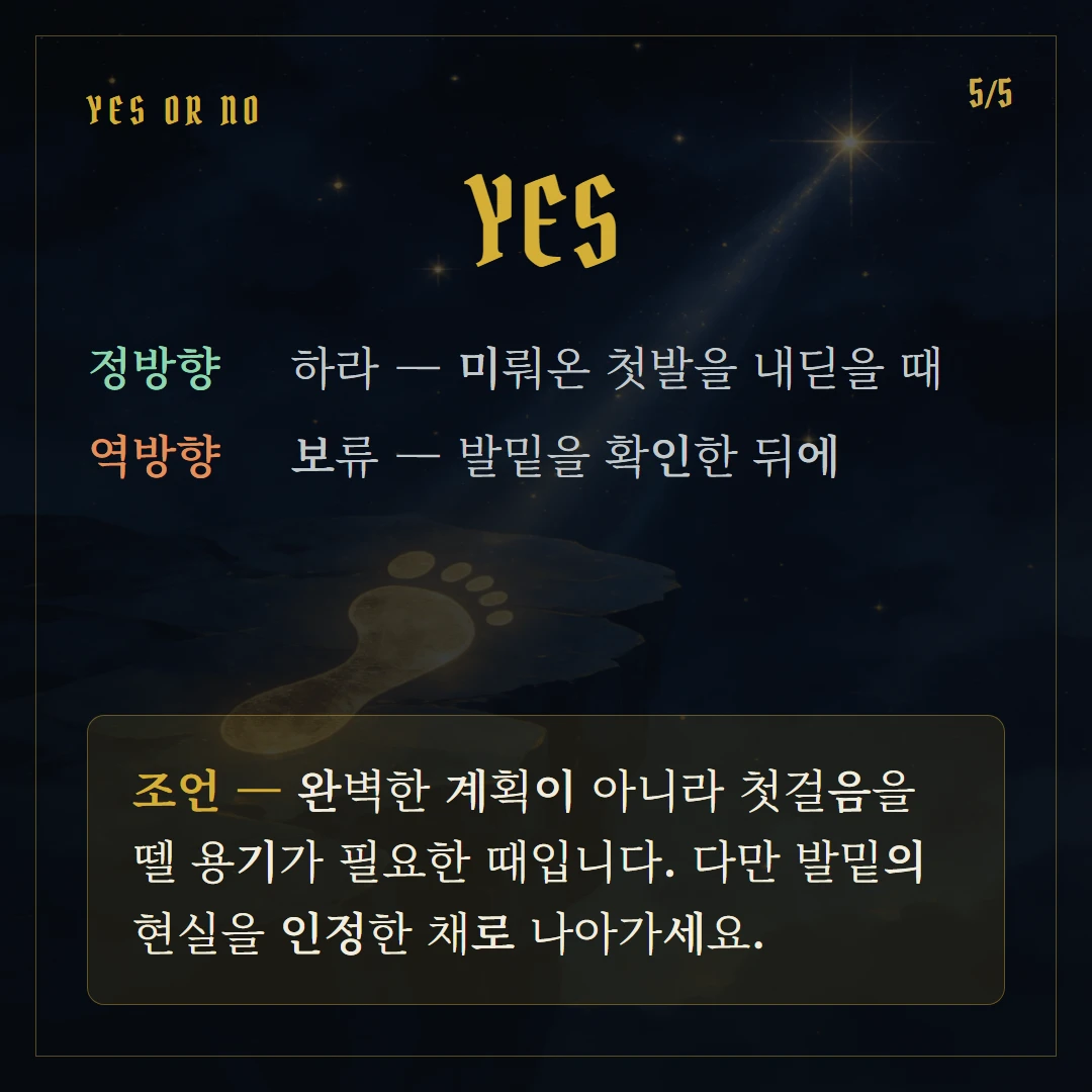 바보(The Fool) Yes or No 직답과 조언