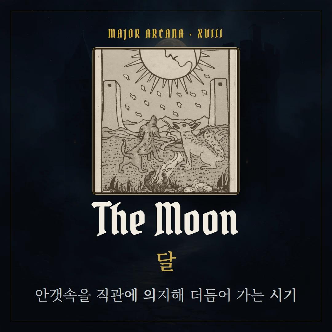 달(The Moon) 카드 요약 표지