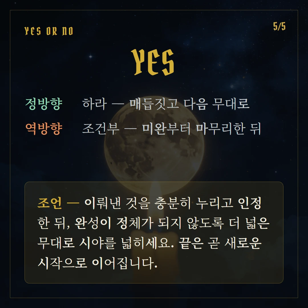 세계(The World) Yes or No 직답과 조언
